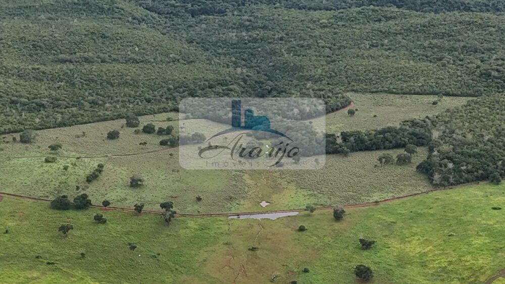 Fazenda à venda com 9 quartos, 325m² - Foto 3