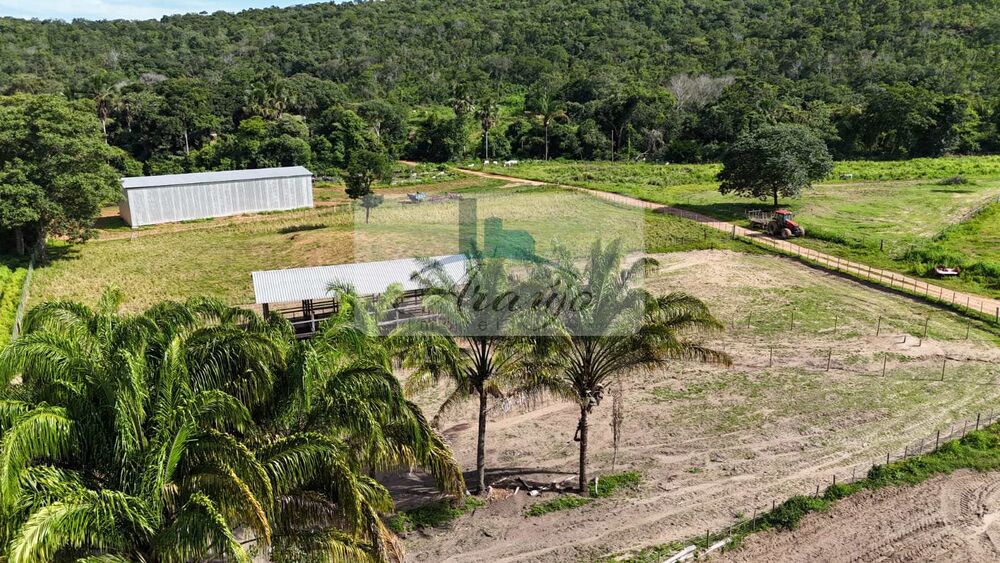 Fazenda à venda com 9 quartos, 325m² - Foto 15