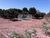 Fazenda, 750 m² - Foto 4
