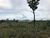 Fazenda, 1691 m² - Foto 1