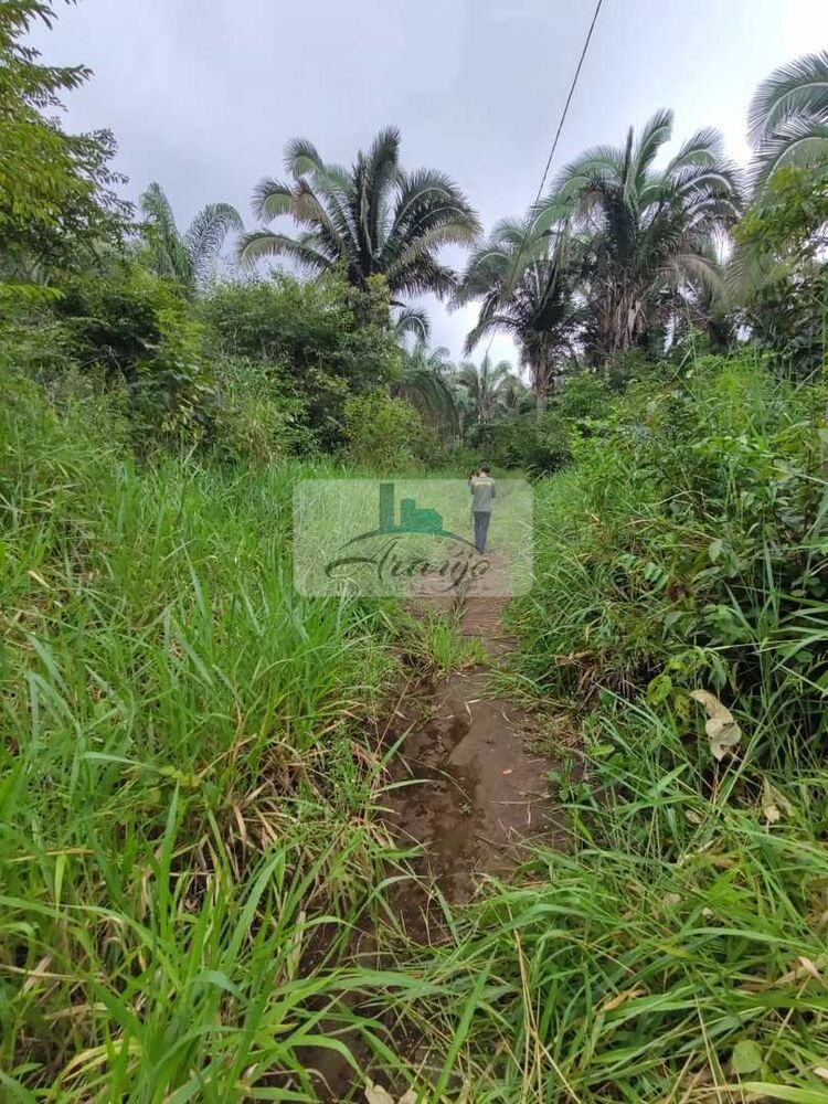 Fazenda à venda com 1 quarto, 18m² - Foto 3