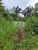 Fazenda, 18 m² - Foto 3