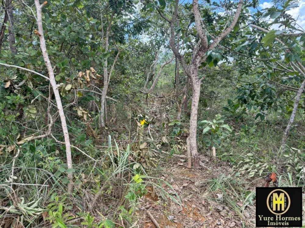 Chácara, 1 quarto, 1000 m² - Foto 2