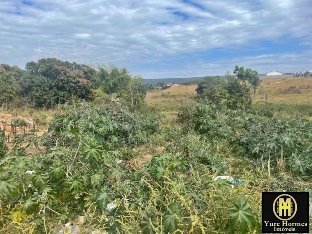 Terreno, 7 hectares - Foto 1