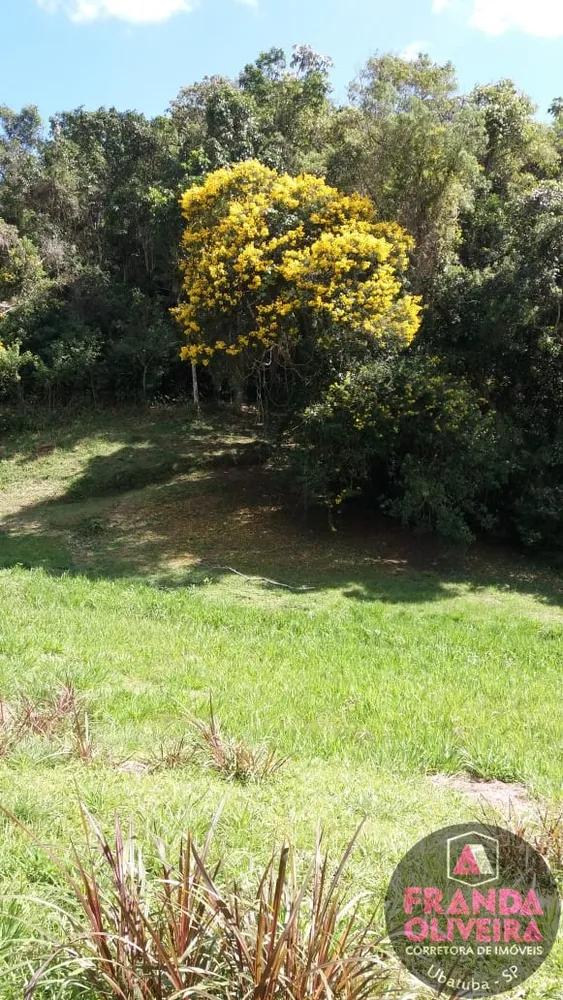 Sítio, 4 quartos, 8 m² - Foto 8