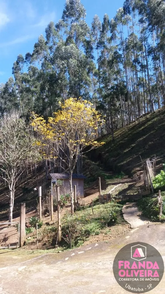 Sítio, 4 quartos, 8 m² - Foto 5