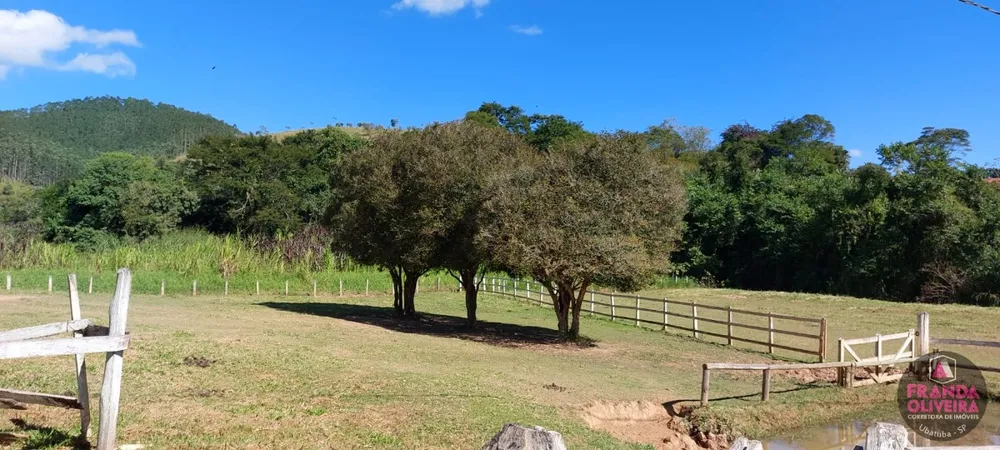 Sítio, 2 quartos, 76 m² - Foto 6