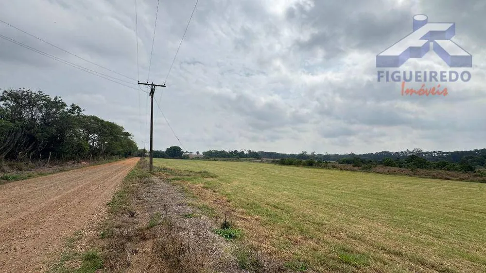 Sítio, 5 quartos, 64 hectares - Foto 3