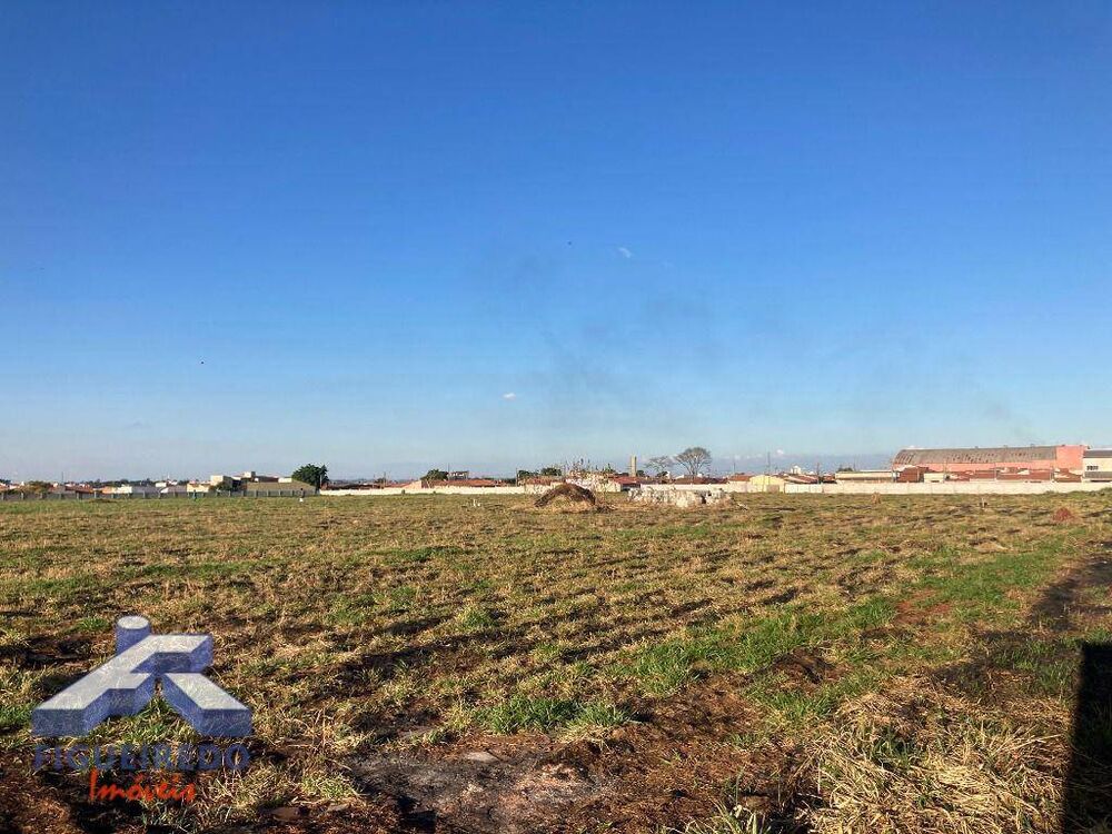 Terreno, 330 hectares - Foto 3