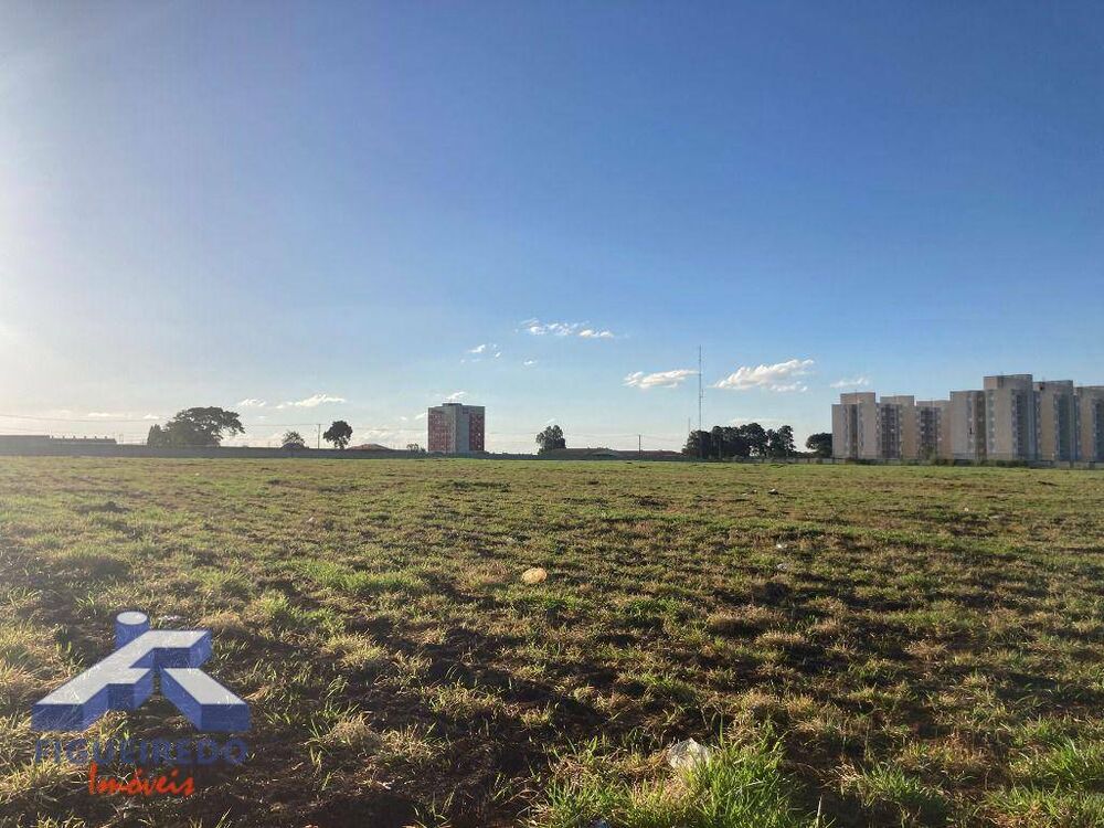 Terreno, 330 hectares - Foto 4
