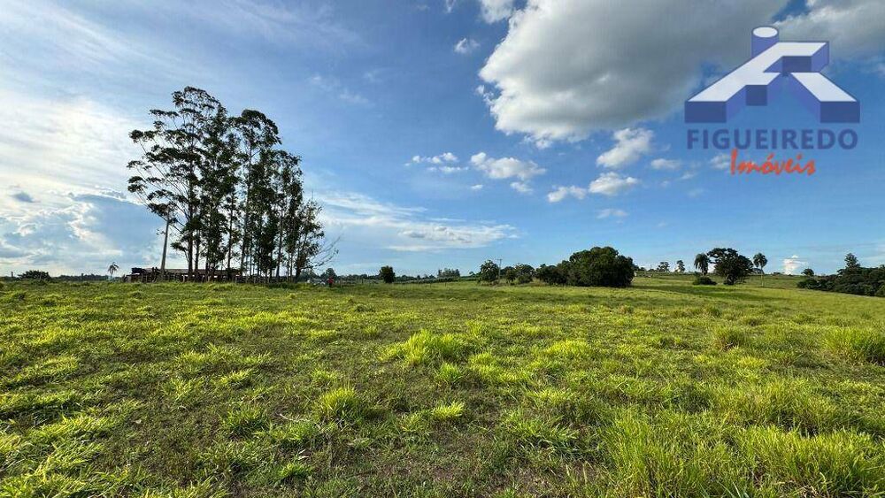 Terreno, 26 hectares - Foto 4