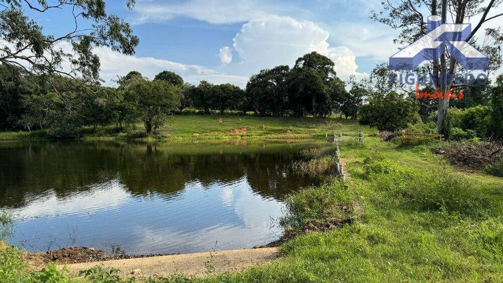 Haras e Área Rural Padrão à venda com 11 quartos, 2000m² - Foto 10