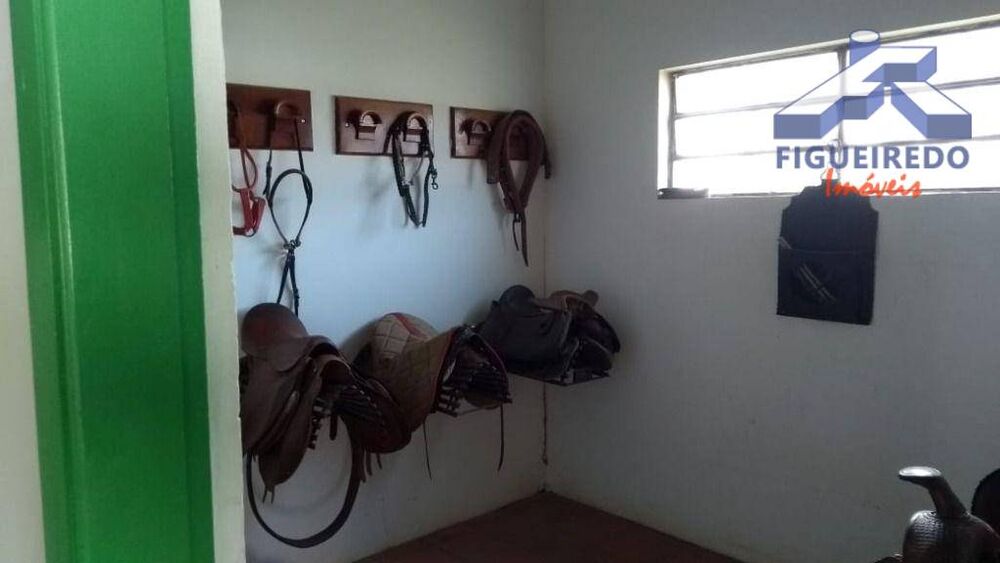 Haras e Área Rural Padrão à venda com 11 quartos, 2000m² - Foto 32