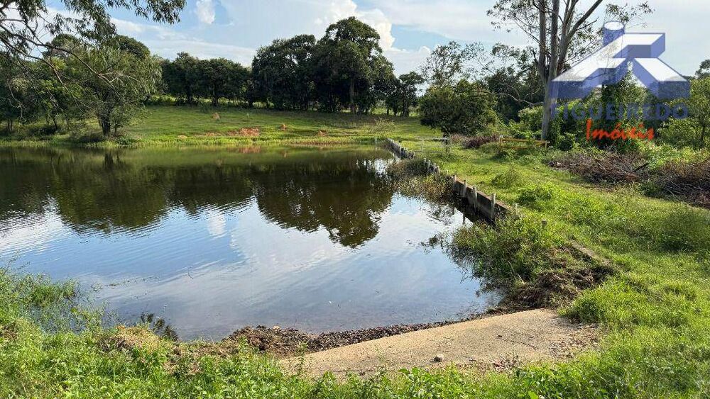 Haras e Área Rural Padrão à venda com 11 quartos, 2000m² - Foto 11