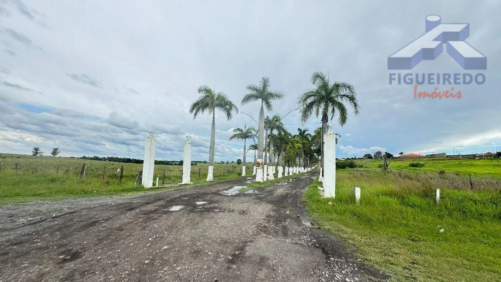 Chácara, 3 quartos, 4800 m² - Foto 4