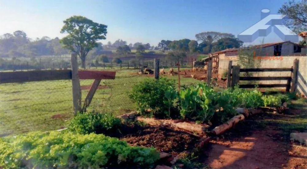 Sítio, 4 hectares - Foto 4