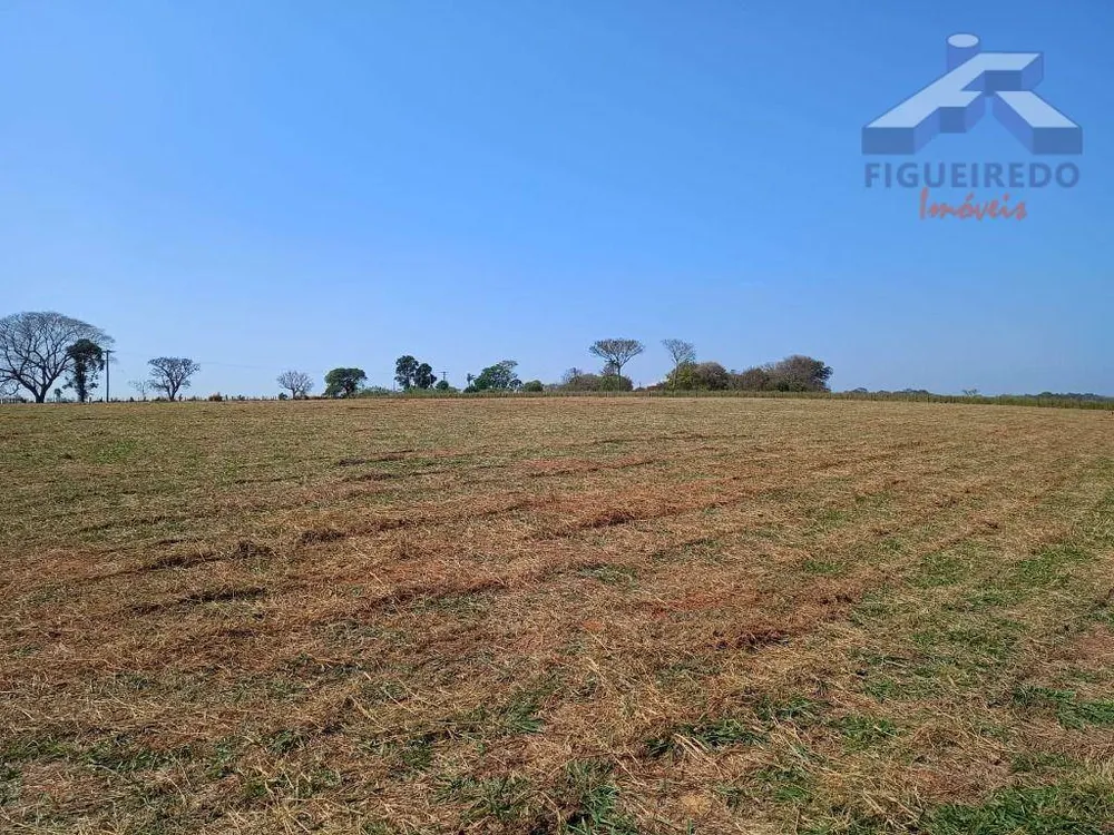Sítio, 7 hectares - Foto 1