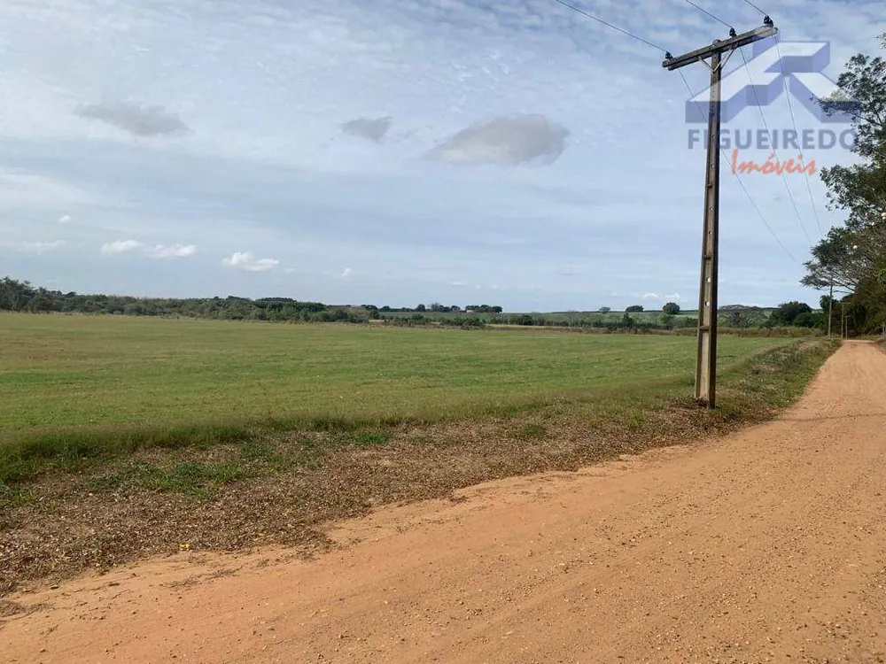 Sítio, 26 hectares - Foto 4
