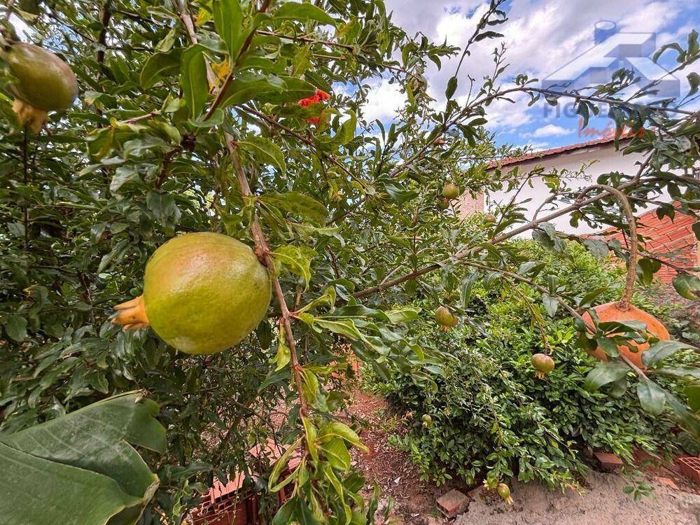 Casa, 3 quartos - Foto 31