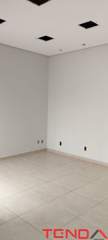 Casa, 4 quartos, 450 m² - Foto 4