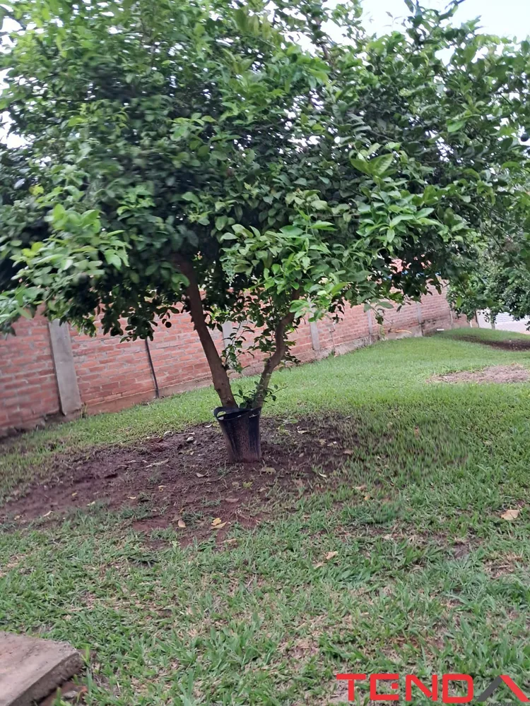 Chácara, 3 quartos - Foto 16