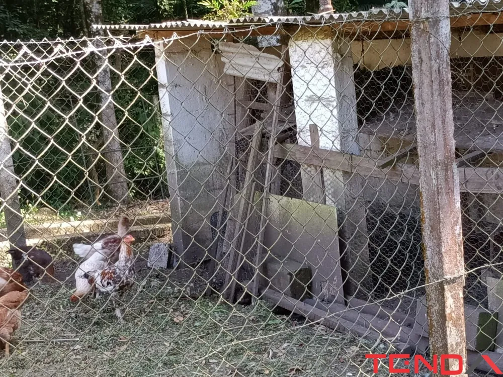 Chácara, 5 quartos - Foto 6
