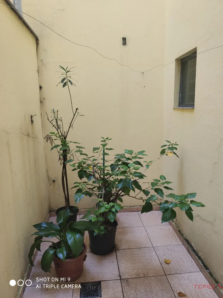 Casa, 2 quartos, 198 m² - Foto 7