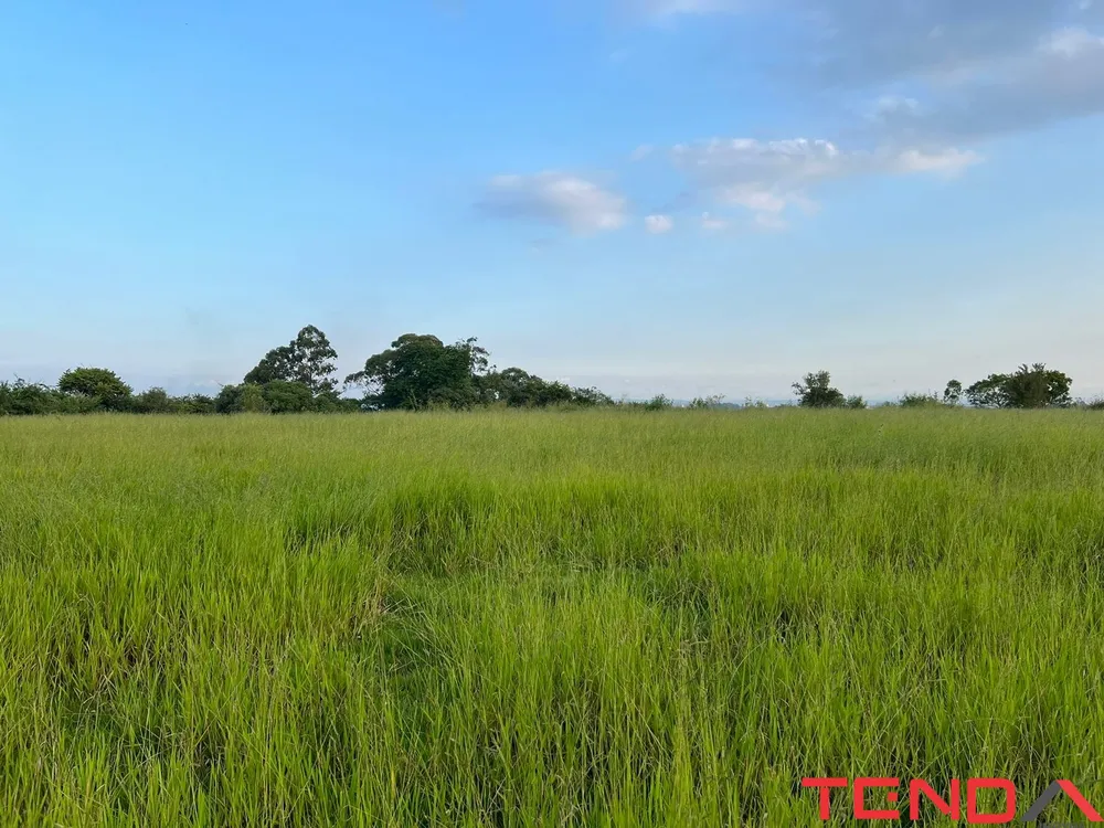 Terreno, 2 hectares - Foto 3