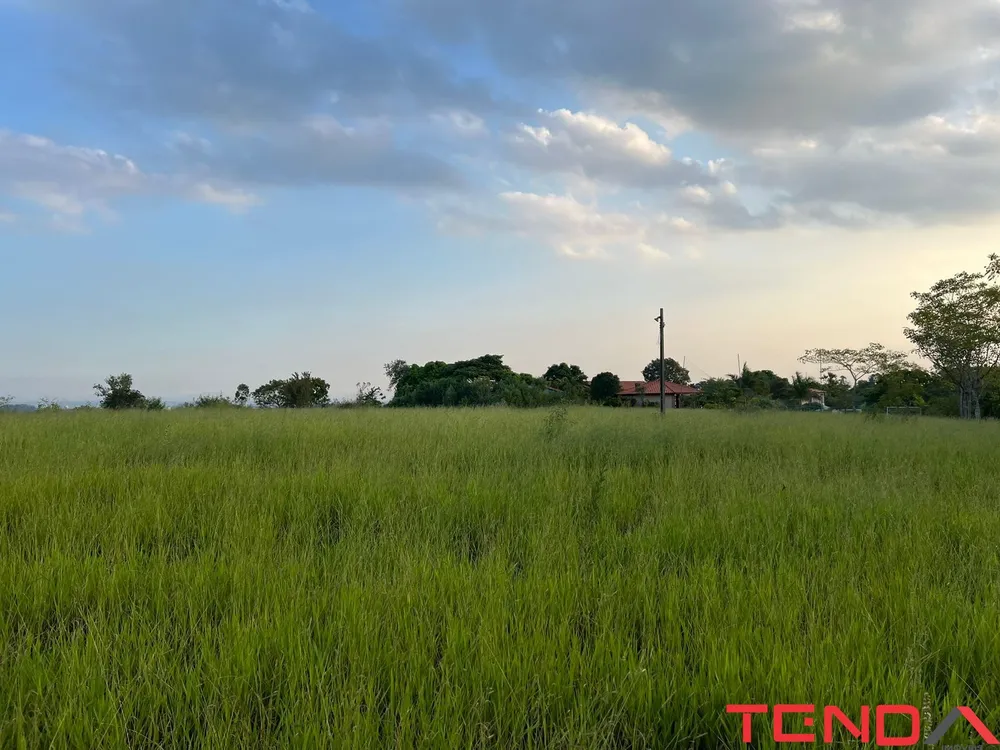 Terreno, 2 hectares - Foto 2