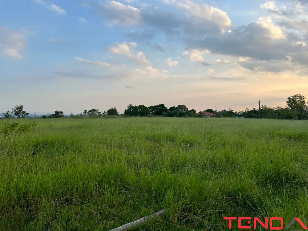 Terreno, 2 hectares - Foto 3