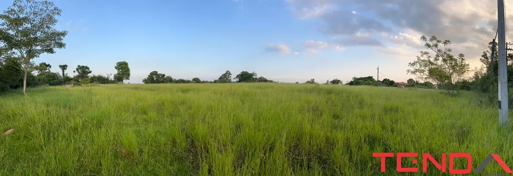Terreno, 2 hectares - Foto 4