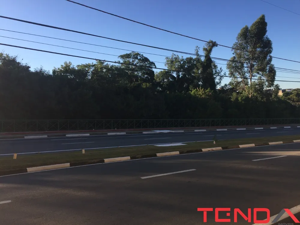 Terreno - Foto 5