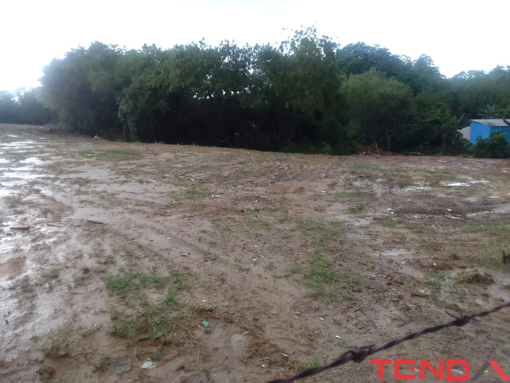 Terreno, 1 hectares - Foto 7