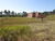 Terreno, 364 m² - Foto 2
