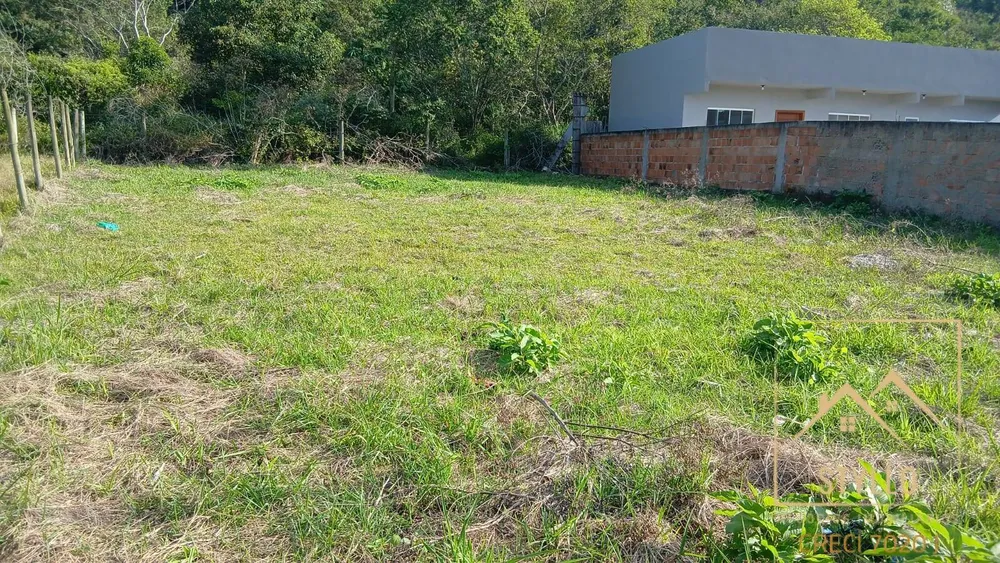 Terreno - Foto 3