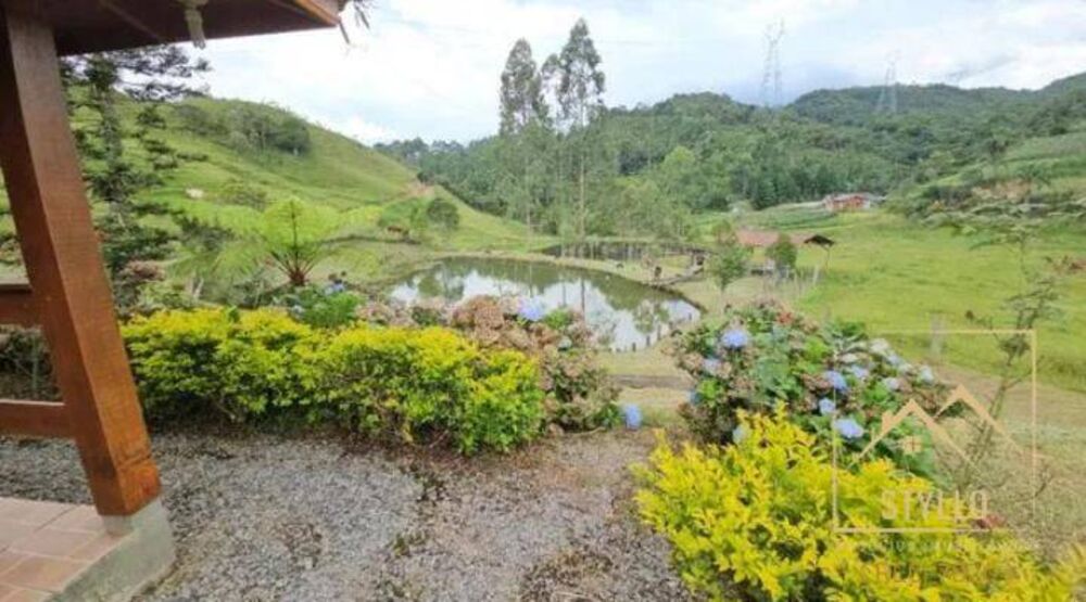 Sítio à venda com 3 quartos, 6300000m² - Foto 7