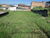 Terreno, 360 m² - Foto 1