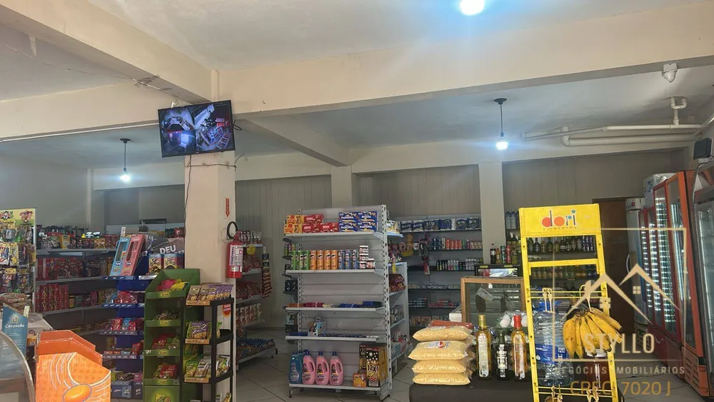 Casa, 5 quartos, 240 m² - Foto 3