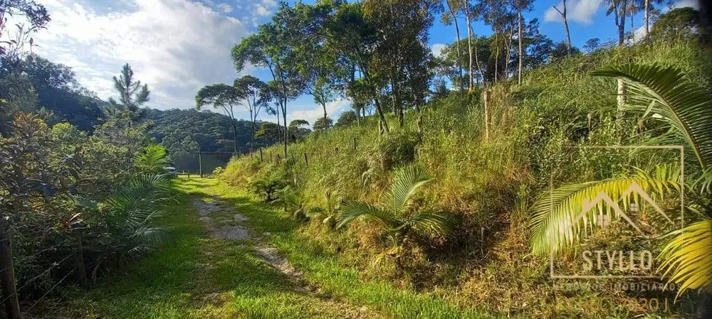 Sítio, 4 quartos, 2 hectares - Foto 7