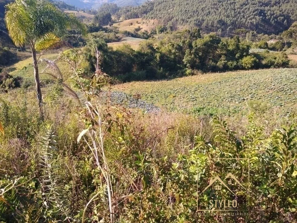 Fazenda à venda com 4 quartos, 130m² - Foto 4