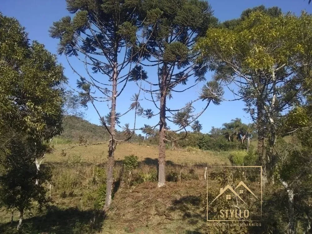 Sítio, 4 quartos, 130 m² - Foto 16