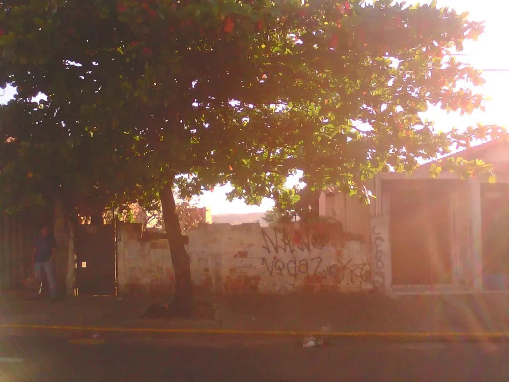 Terreno - Foto 1