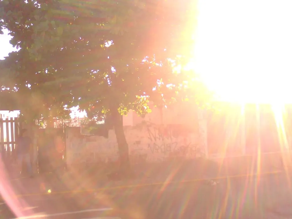 Terreno - Foto 4