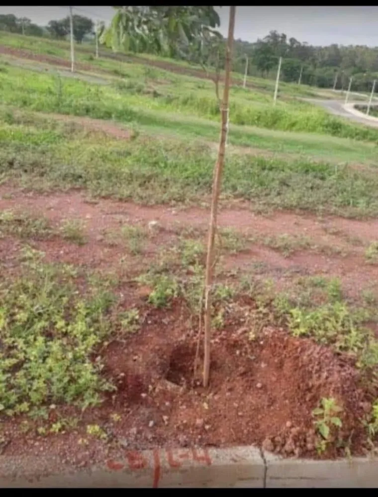 Terreno - Foto 3