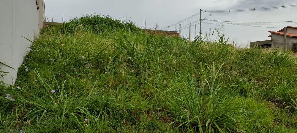 Terreno - Foto 1