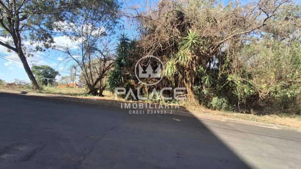 Terreno, 250 m² - Foto 3