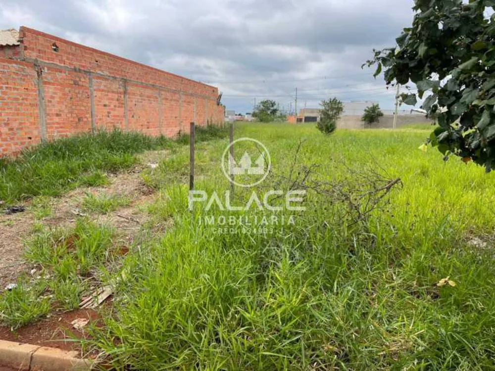 Terreno - Foto 4
