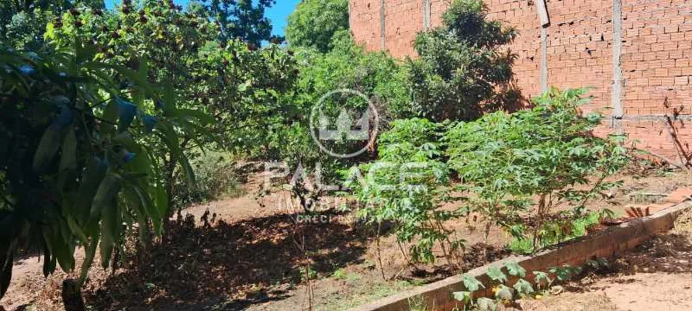Chácara, 3 quartos - Foto 12