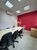Sala-Conjunto, 14 m² - Foto 3