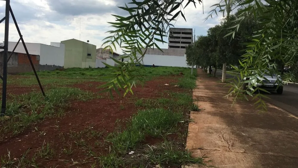 Terreno - Foto 3